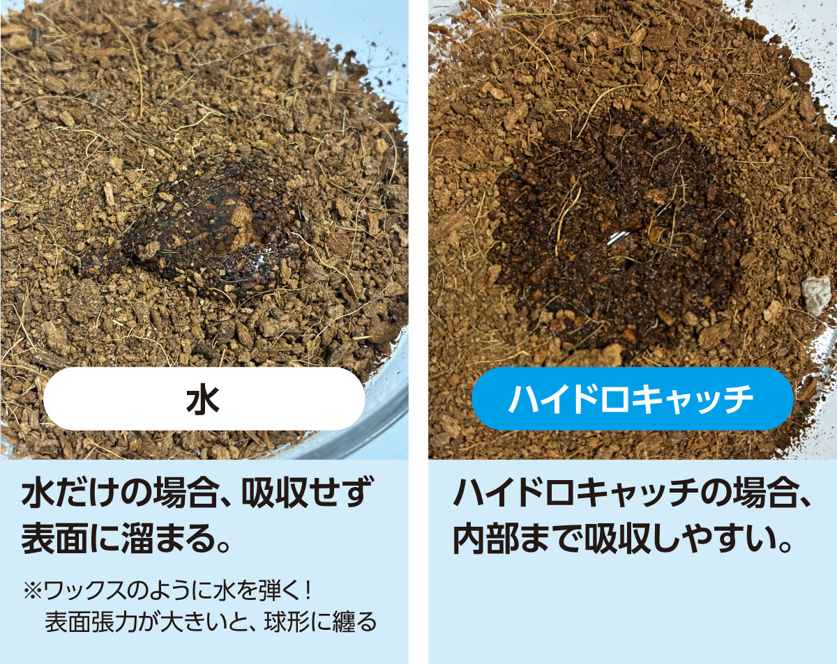 水だけの場合と、ハイドロキャッチを使用した場合の、土への水の染み込み方の違い
