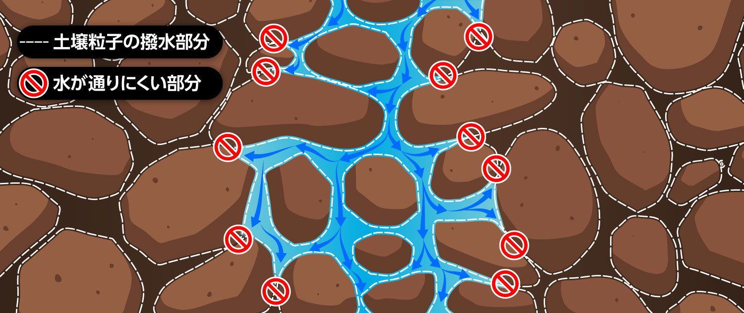 土壌の乾燥土の内部と水の拡大図