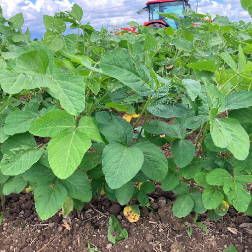 マリンインパクト区