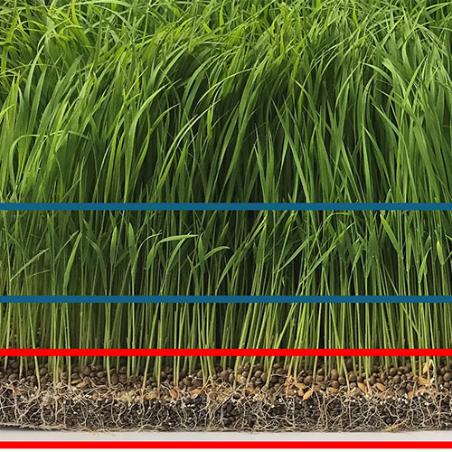 マリンインパクト区