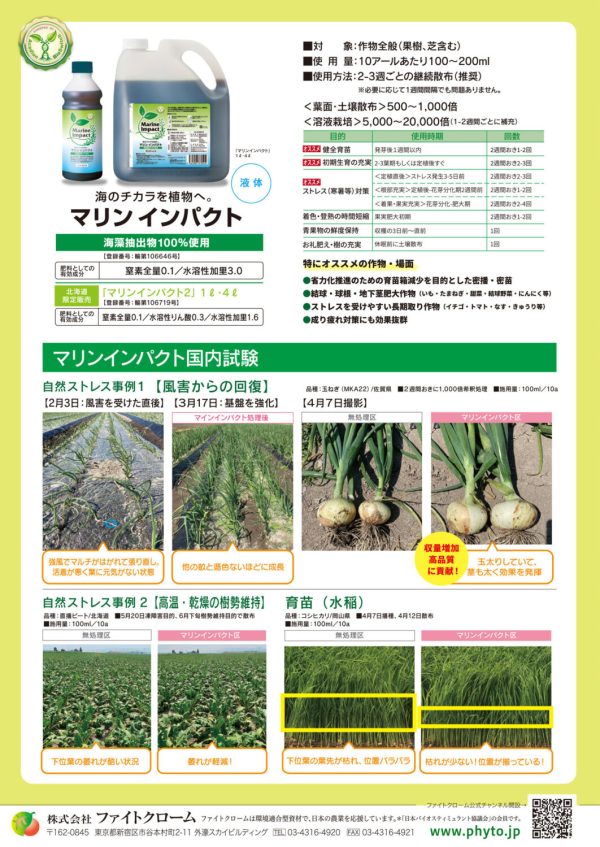 マリンインパクトチラシ（裏）