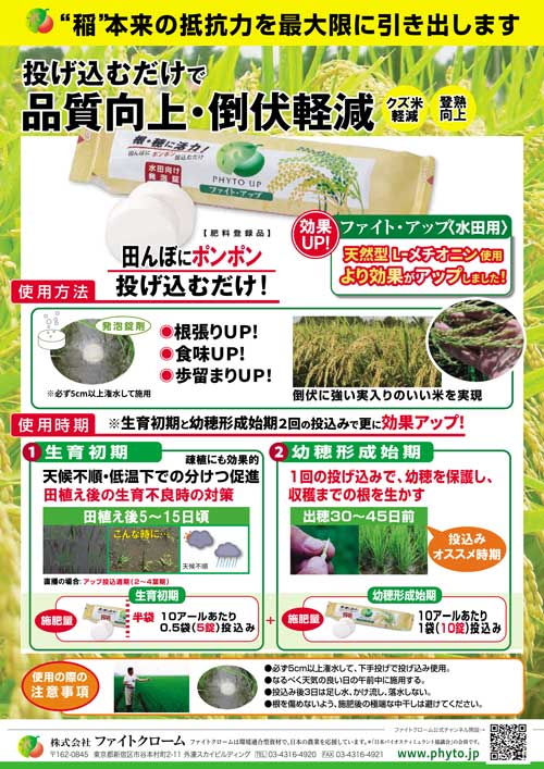 ファイト・アップ（錠剤）チラシ（表）