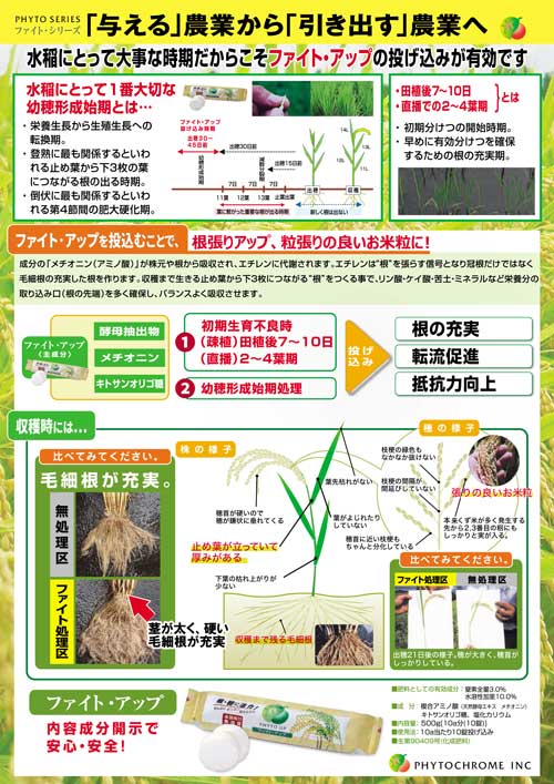 ファイト・アップ（錠剤）チラシ（裏）