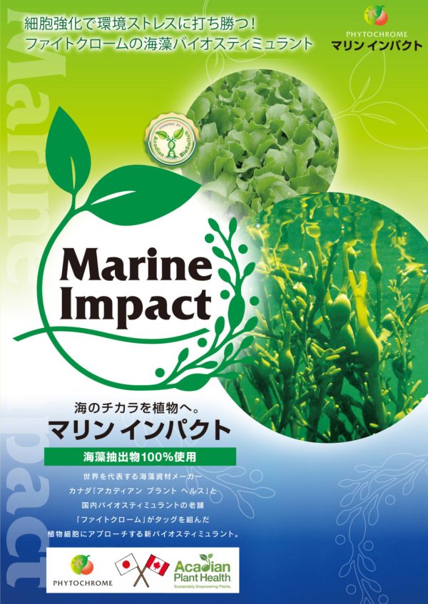 MarineImpact_01